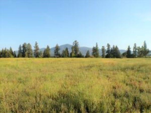 781 H HWY 395 Hwy - Photo 3