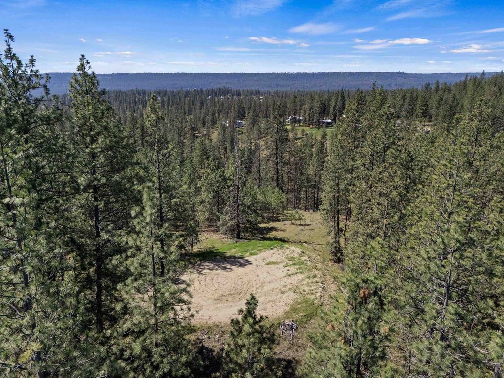 Photo of 5882 Lot 4 Lower Weaver Way, Nine Mile Falls, WA 99026 (MLS # 202616493)
