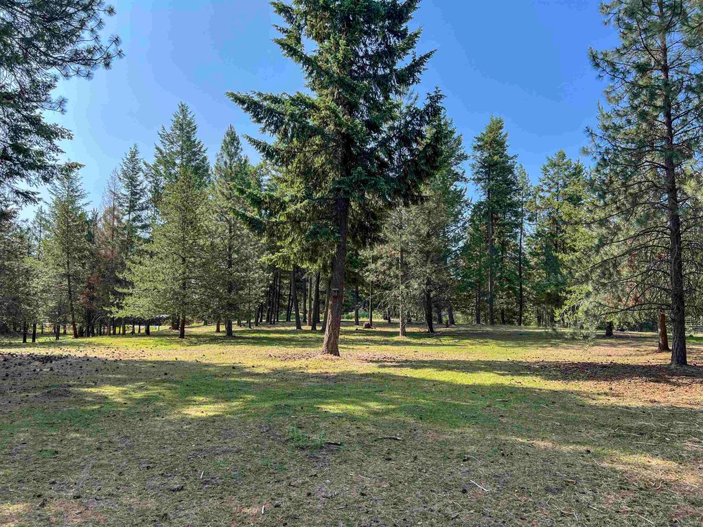 Photo of 563 Graham Rd, Colville, WA 99114 (MLS # 202616355)
