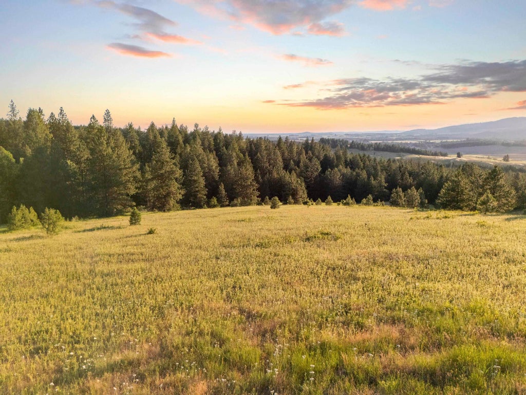 Photo of NNA S Mica Vista Ln Ln, Mica, WA 99023 (MLS # 202625667)