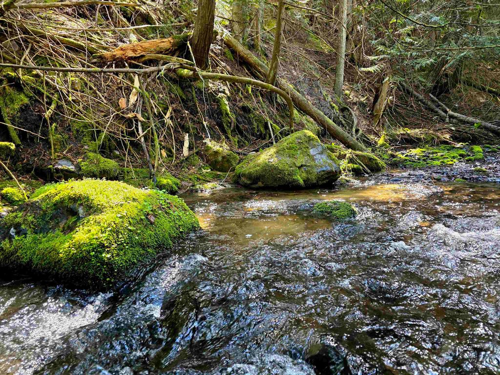 Photo of 2383-A Burnt Valley Rd, Chewelah, WA 99109 (MLS # 202616253)