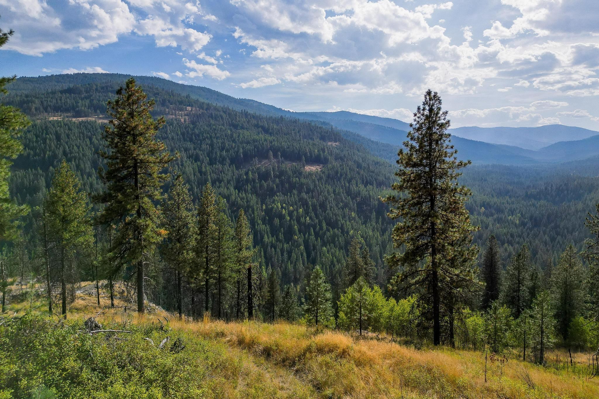 View Kettle Falls, WA 99141 land