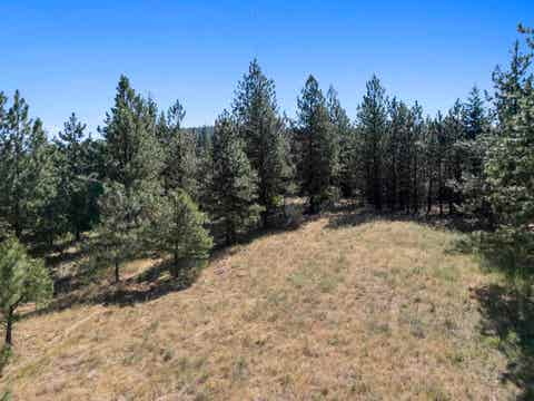 Featured picture for the property 202521362