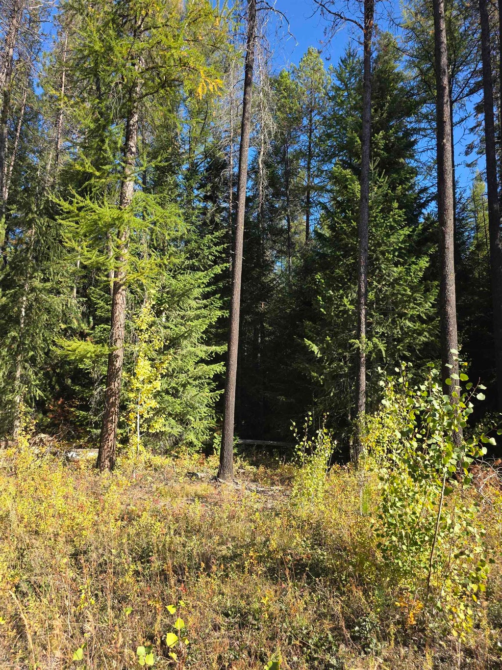 Photo of NKA Green Rd, Newport, WA 99156 (MLS # 202625535)