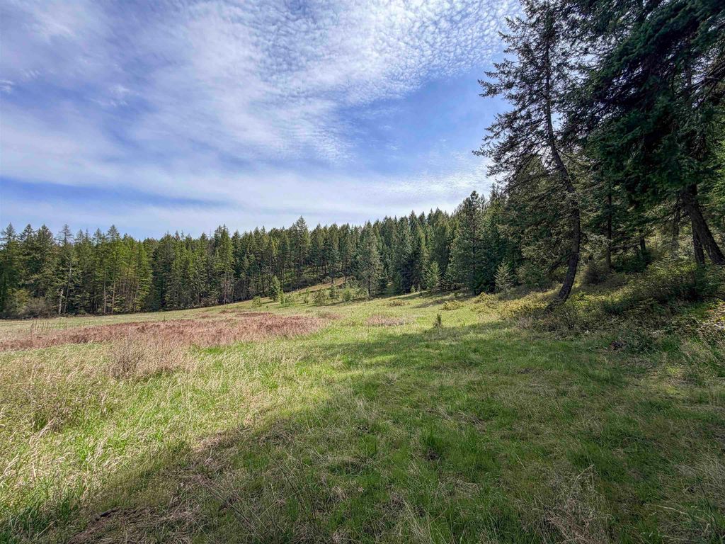 Photo of 822-J Barzee Rd, Colville, WA 99114 (MLS # 202616085)