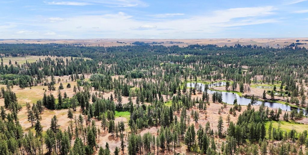 Photo of NKA S Stangland Rd, Medical Lake, WA 99022 (MLS # 202616220)