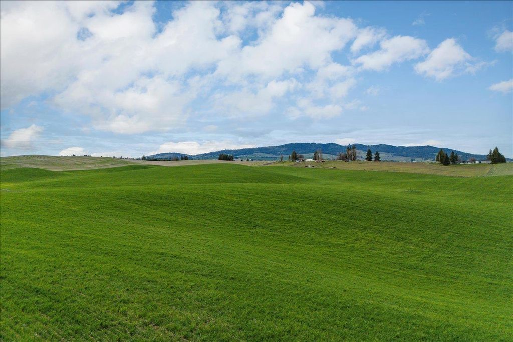 Photo of 14906 S Madison Rd, Valleyford, WA 99036 (MLS # 202615702)