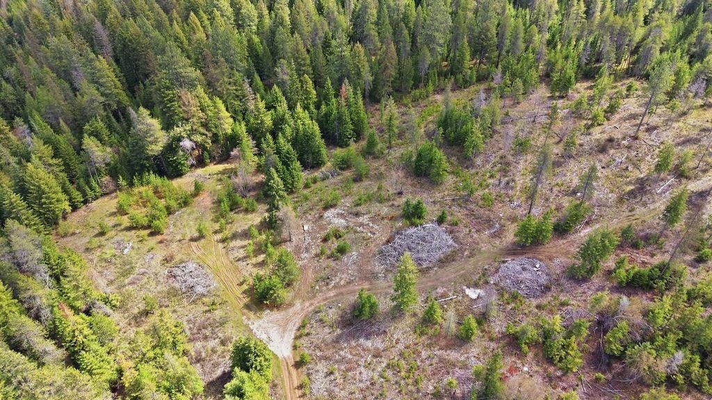 Photo of 8300 E Lodge Pole Ln, Chattaroy, WA 99003 (MLS # 202625609)