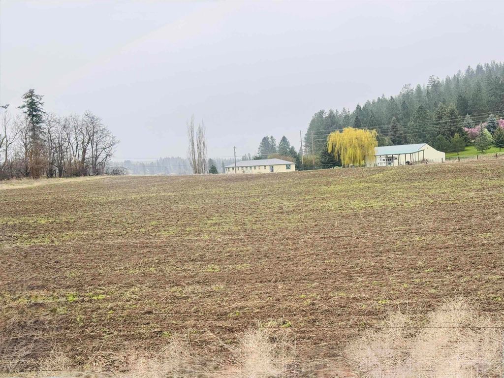Photo of 10524 S Murphy Rd, Cheney, WA 99004 (MLS # 202615964)
