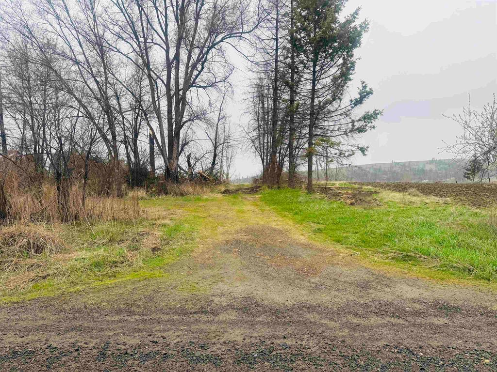 Photo of 10524 S Murphy Rd, Cheney, WA 99004 (MLS # 202615964)