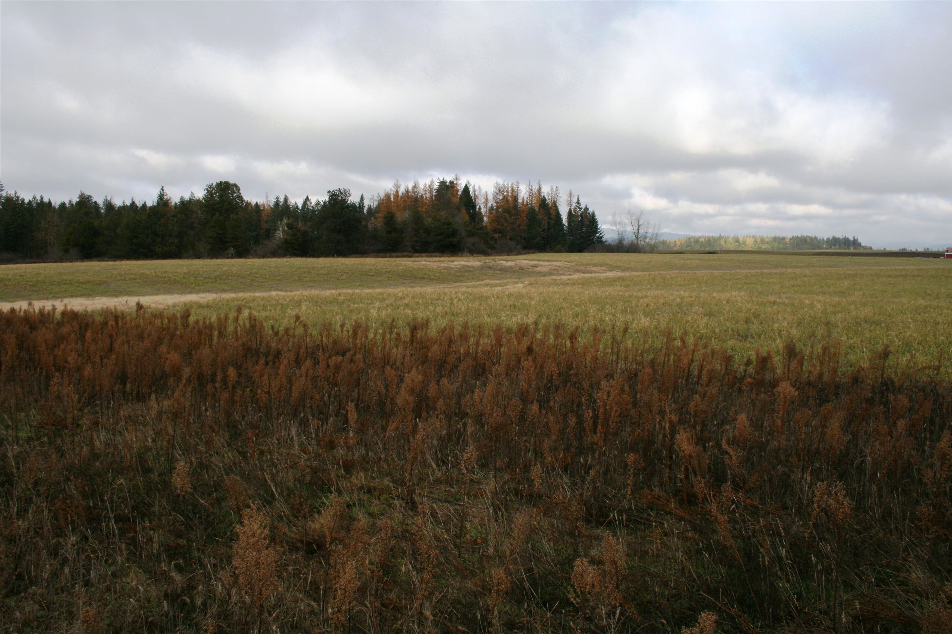 Photo 1 of 2 — Lot 4 Mule Deer Ln, Deer Park, WA 99006