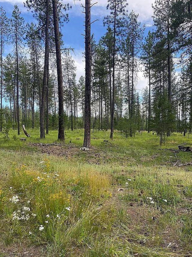 Photo 1 of 11 — 151XX E Oregon Rd, Elk, WA 99009