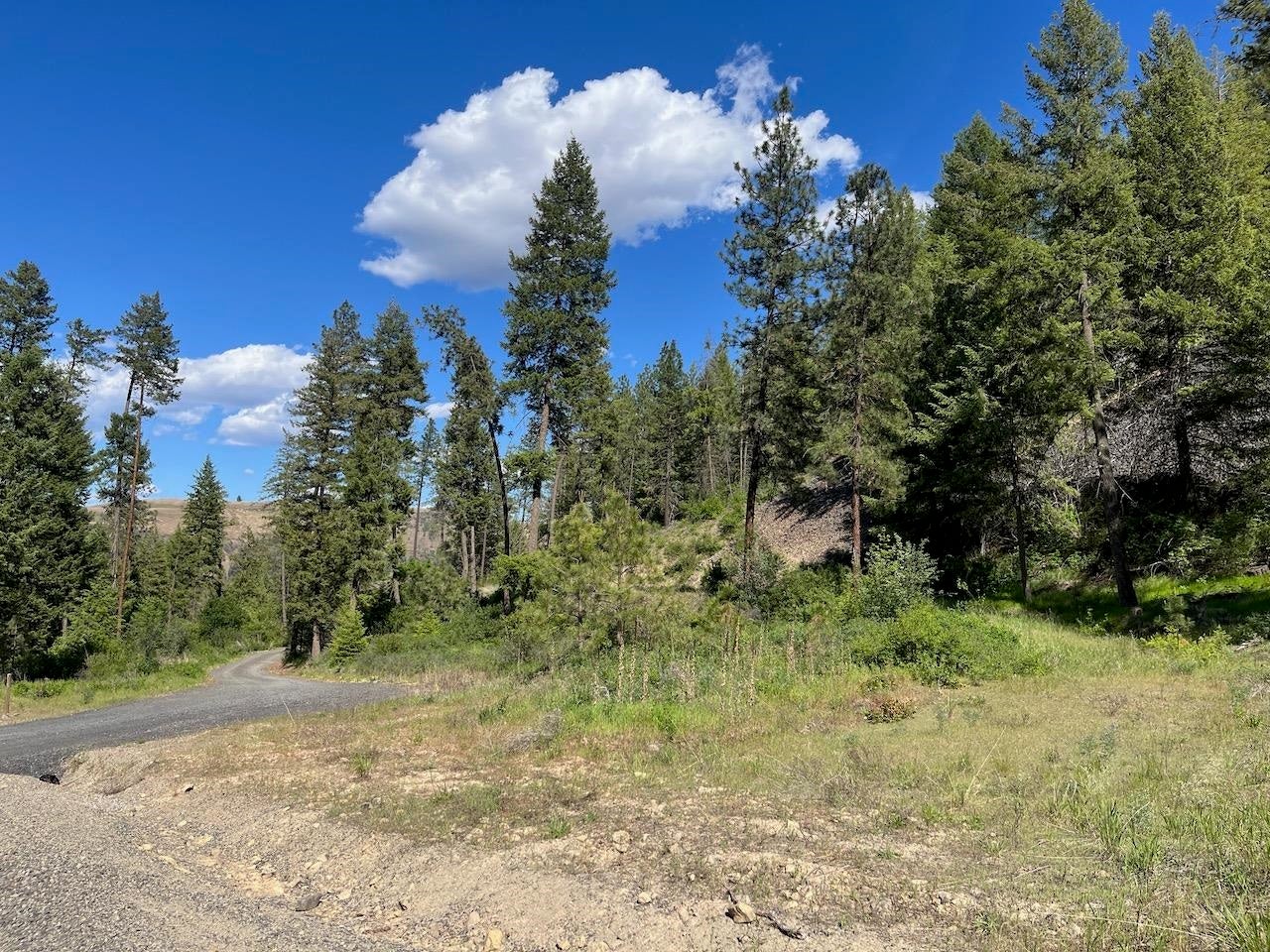 Photo 1 of 25 — Lot 1 Blue Jay Bob White Ln, Davenport, WA 99122