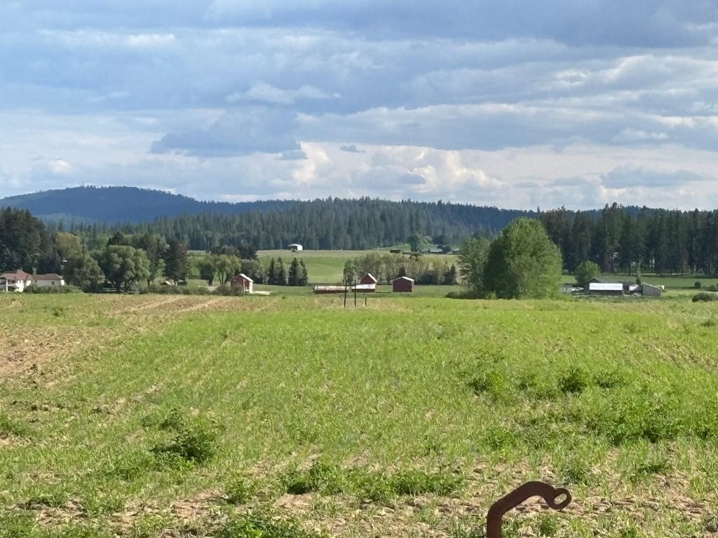 Photo of 46XX Bittrich-Antler Rd, Deer Park, WA 99006 (MLS # 202610834)