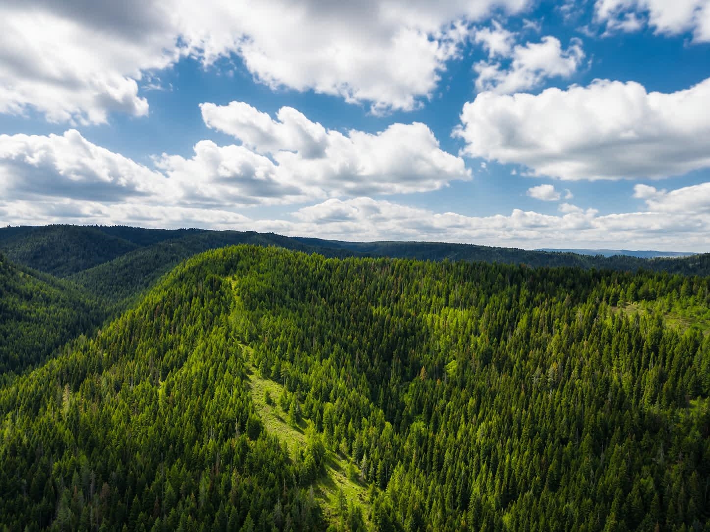 Photo 1 of 31 — 30 Acres on Biscuit Ridge Rdg, Other, WA 99361