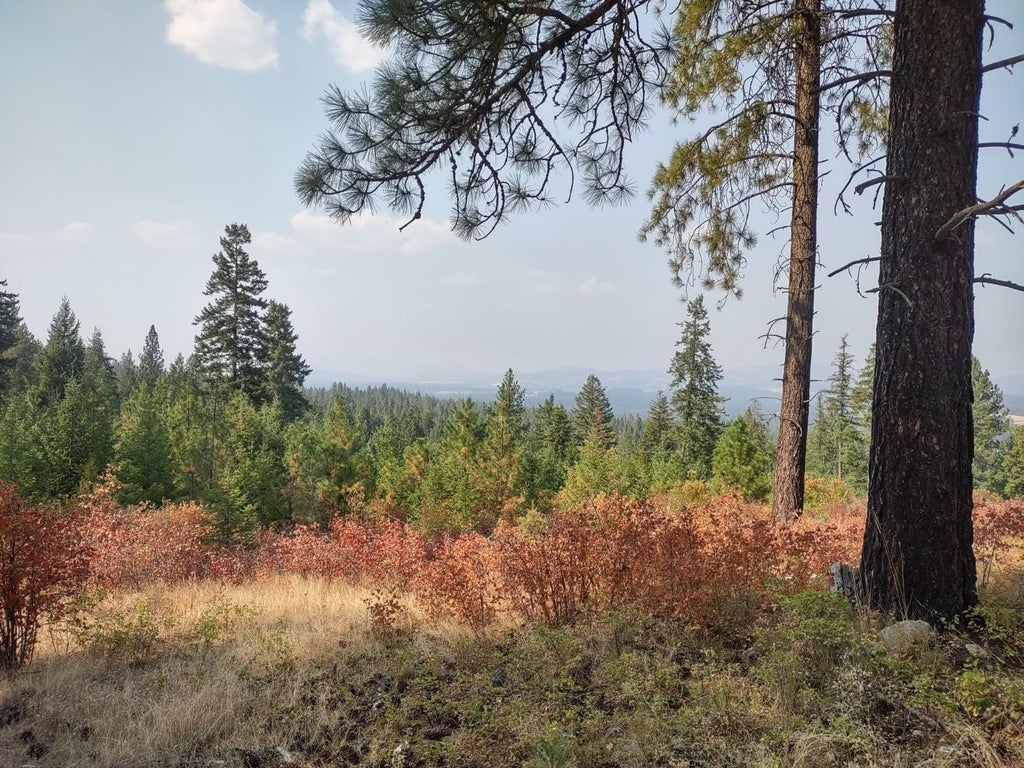 Photo of X Lodgepole Ln, Elk, WA 99009 (MLS # 202623125)