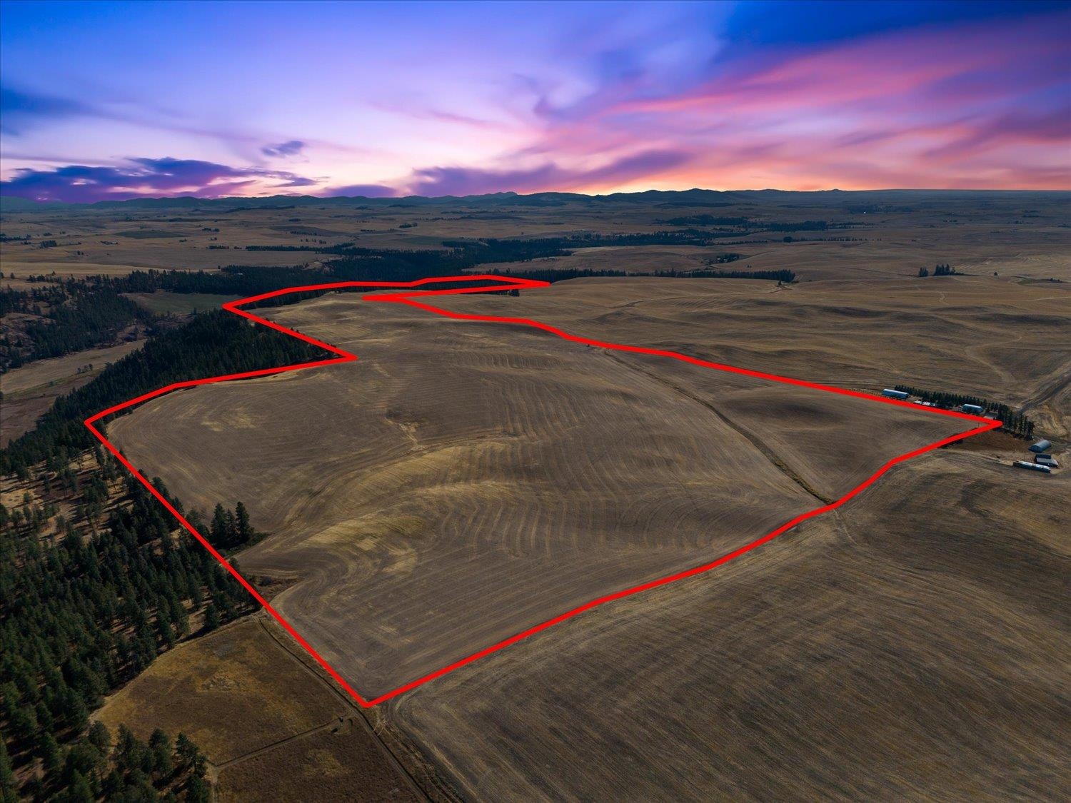 Listing image 5