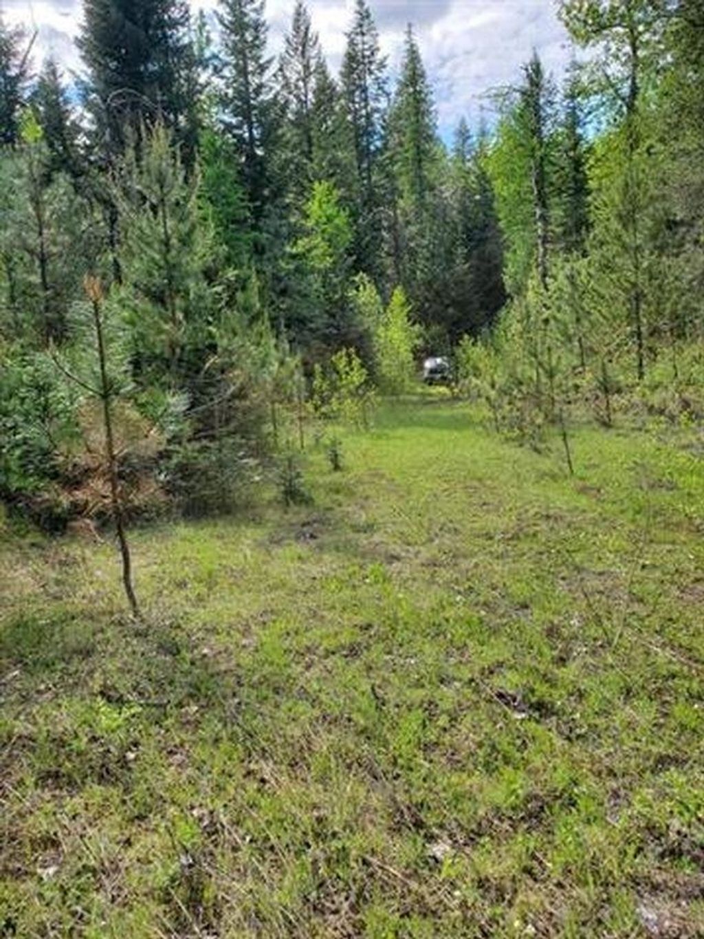 Photo of NKA Calispel Trl, Newport, WA 99156 (MLS # 202616188)