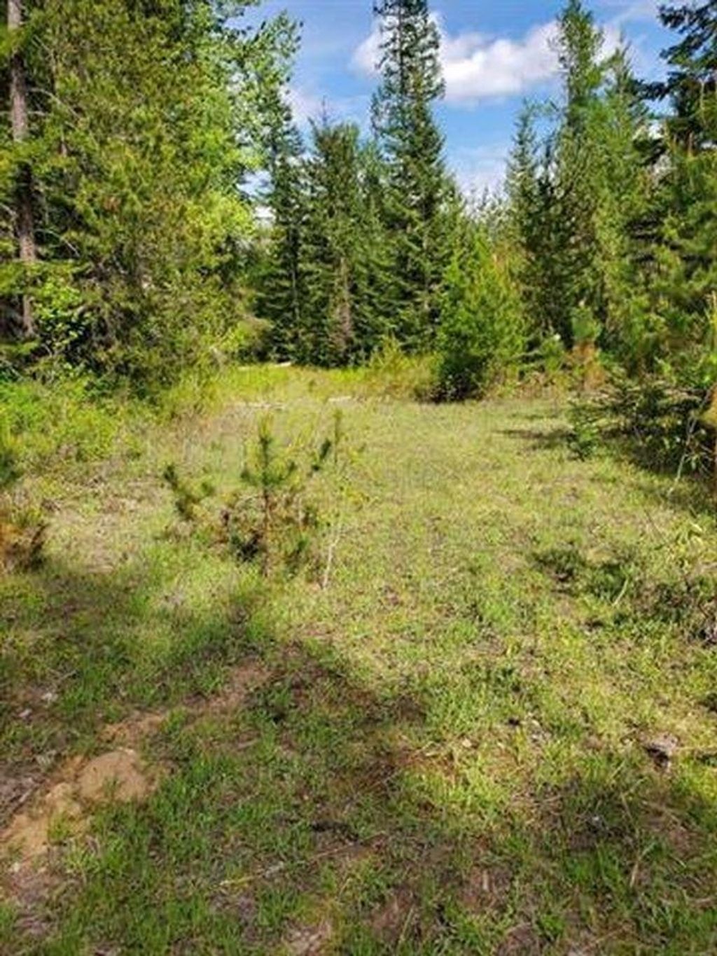 Photo of NKA Calispel Trl, Newport, WA 99156 (MLS # 202616188)
