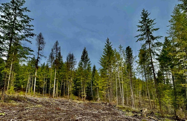6200 BRISBOIS RD, FRUITLAND, WA 99129 - Image 64480cb9df4ee9dffb4b74de1ef1713b/712105668
