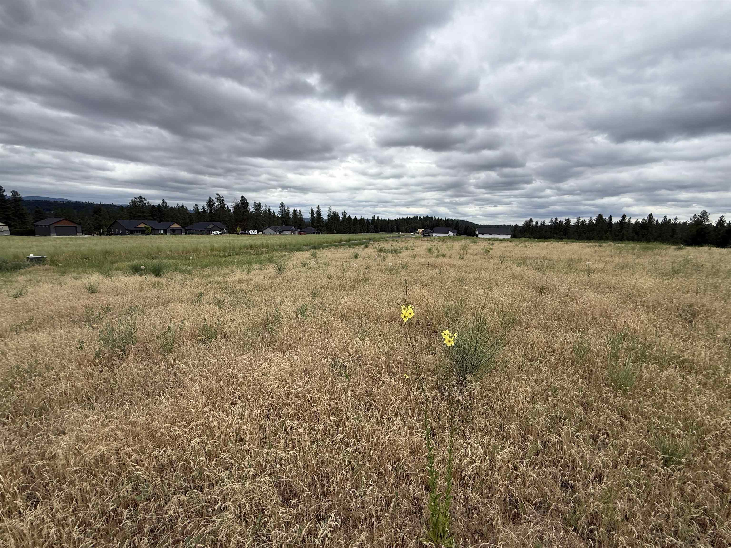 Photo 1 of 7 — 4207 E Molly Jean Ln, Chattaroy, WA 99003