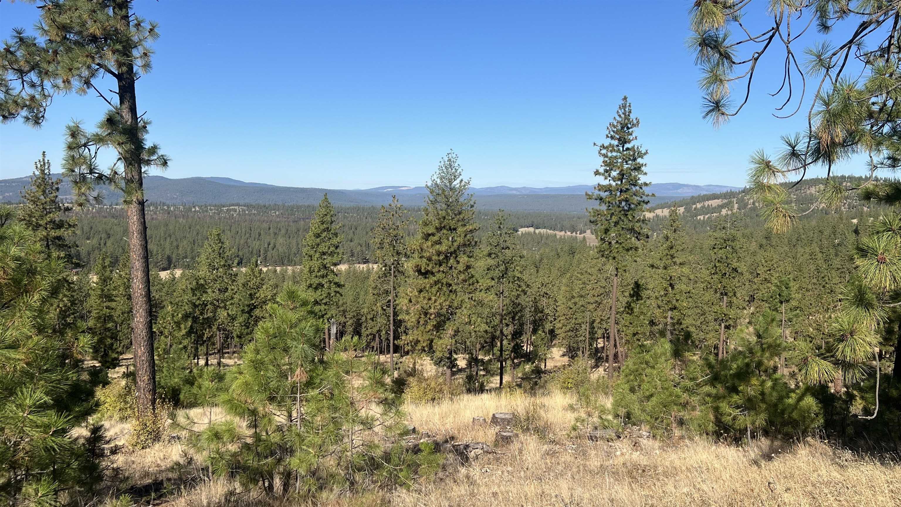 Photo 1 of 19 — NNA Corkscrew Canyon Rd, Tumtum, WA 99034