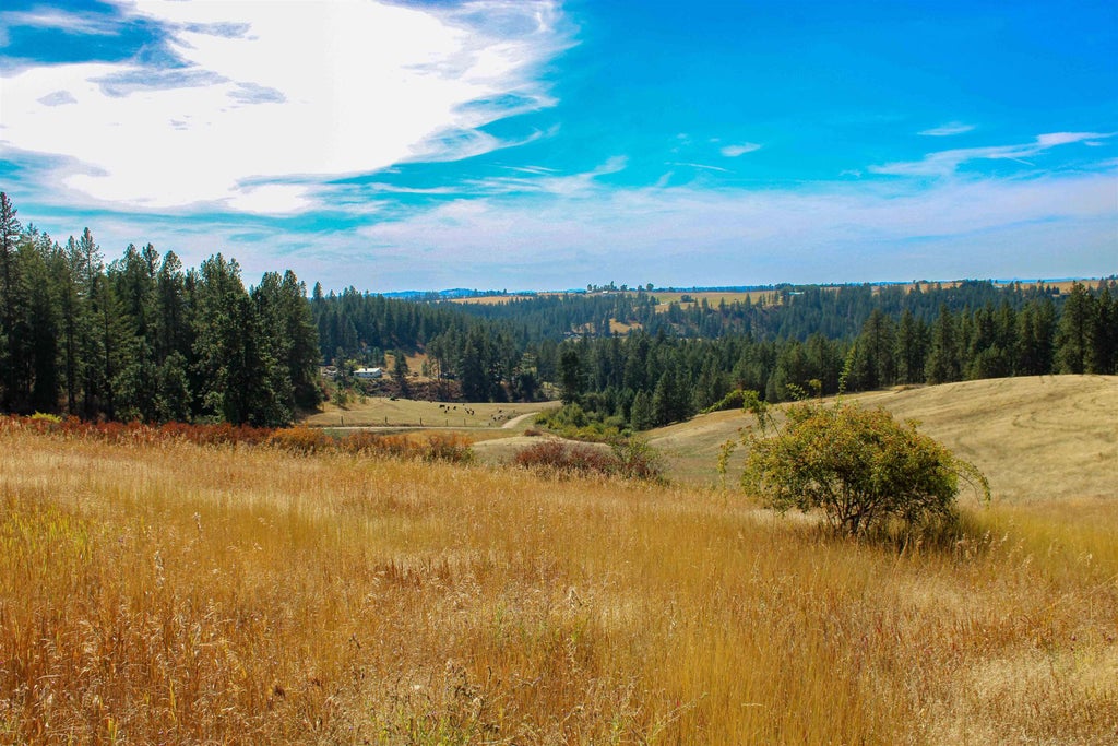 Photo of NKA (North lot) E Farwell Rd, Spokane, WA 99217 (MLS # 202625781)