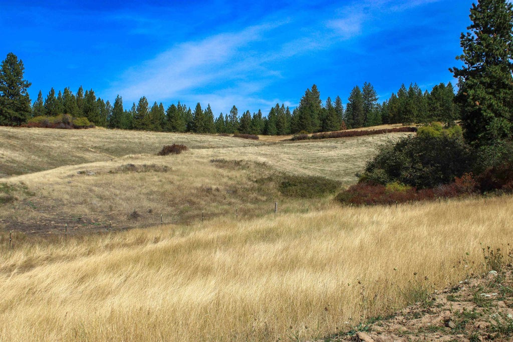 Photo of NKA (North lot) E Farwell Rd, Spokane, WA 99217 (MLS # 202625781)
