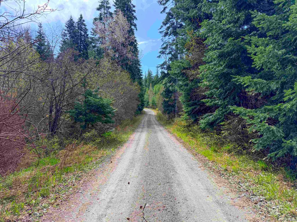 Photo of 4224-C Grouse Creek Rd, Loon Lake, WA 99148 (MLS # 202616549)