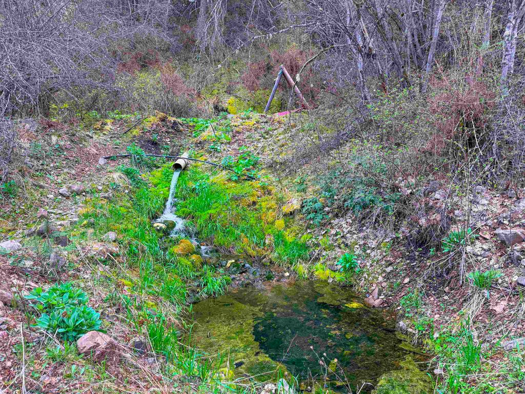 Photo of 4224-C Grouse Creek Rd, Loon Lake, WA 99148 (MLS # 202616549)