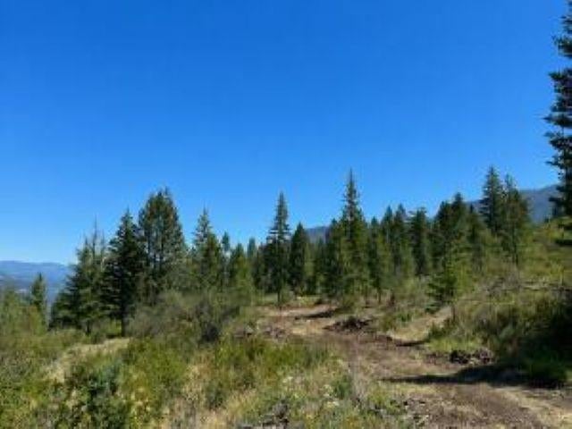 3634 N 25 Hwy - Photo 2