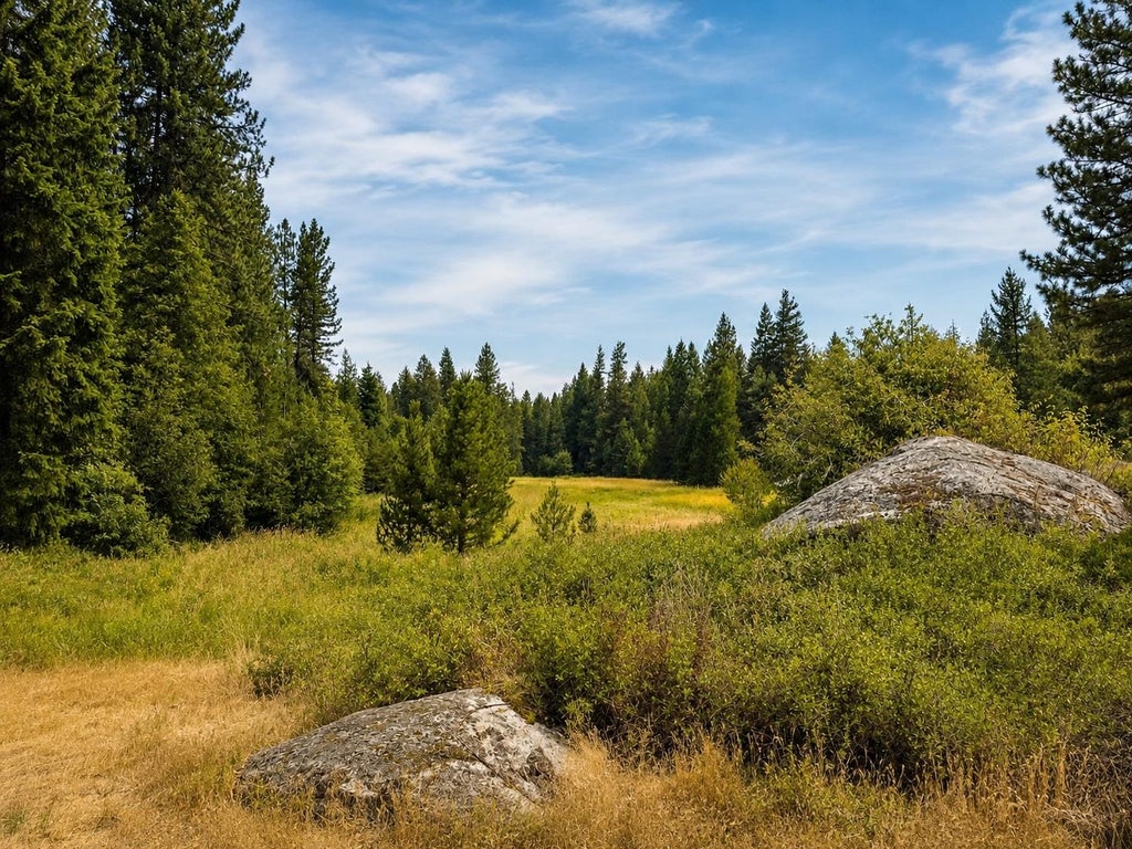 Photo of 1 Quartz Rd, Newport, WA 99156 (MLS # 202623745)