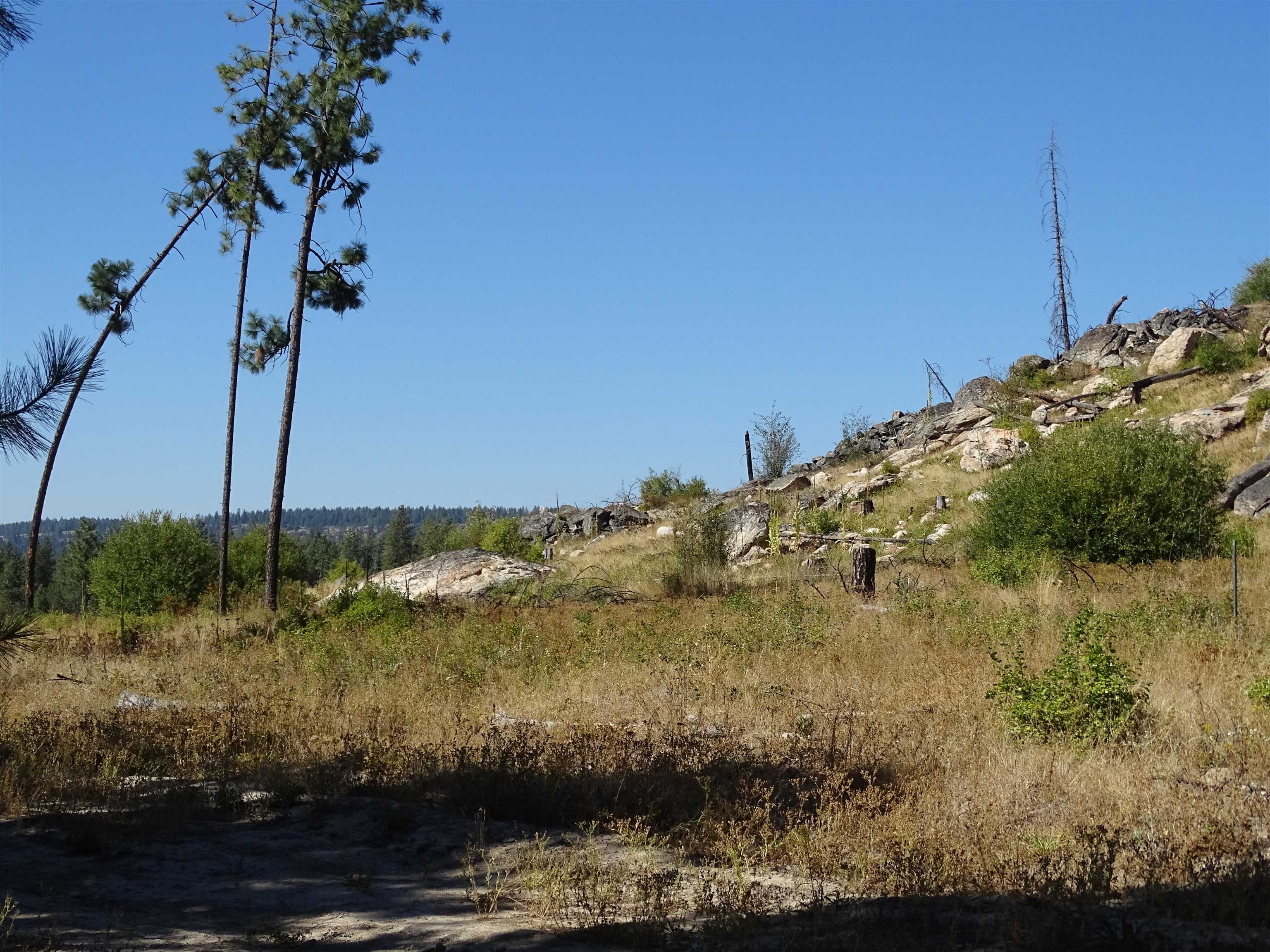 Photo 10 of 29 of 4905 Rail Canyon Rd land