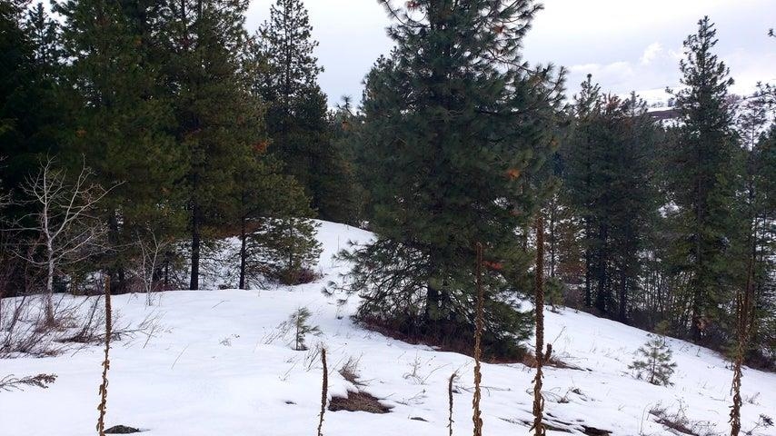 Photo 12 of 35 of 1684 H Brooks Rd land