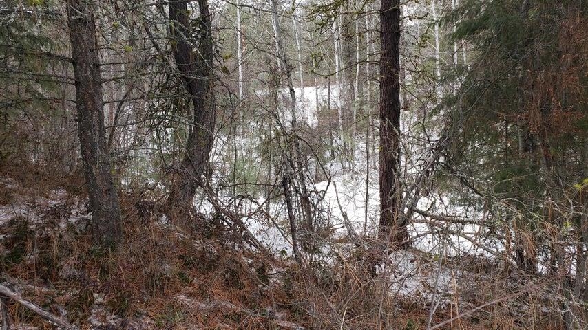 Photo 6 of 35 of 1684 H Brooks Rd land