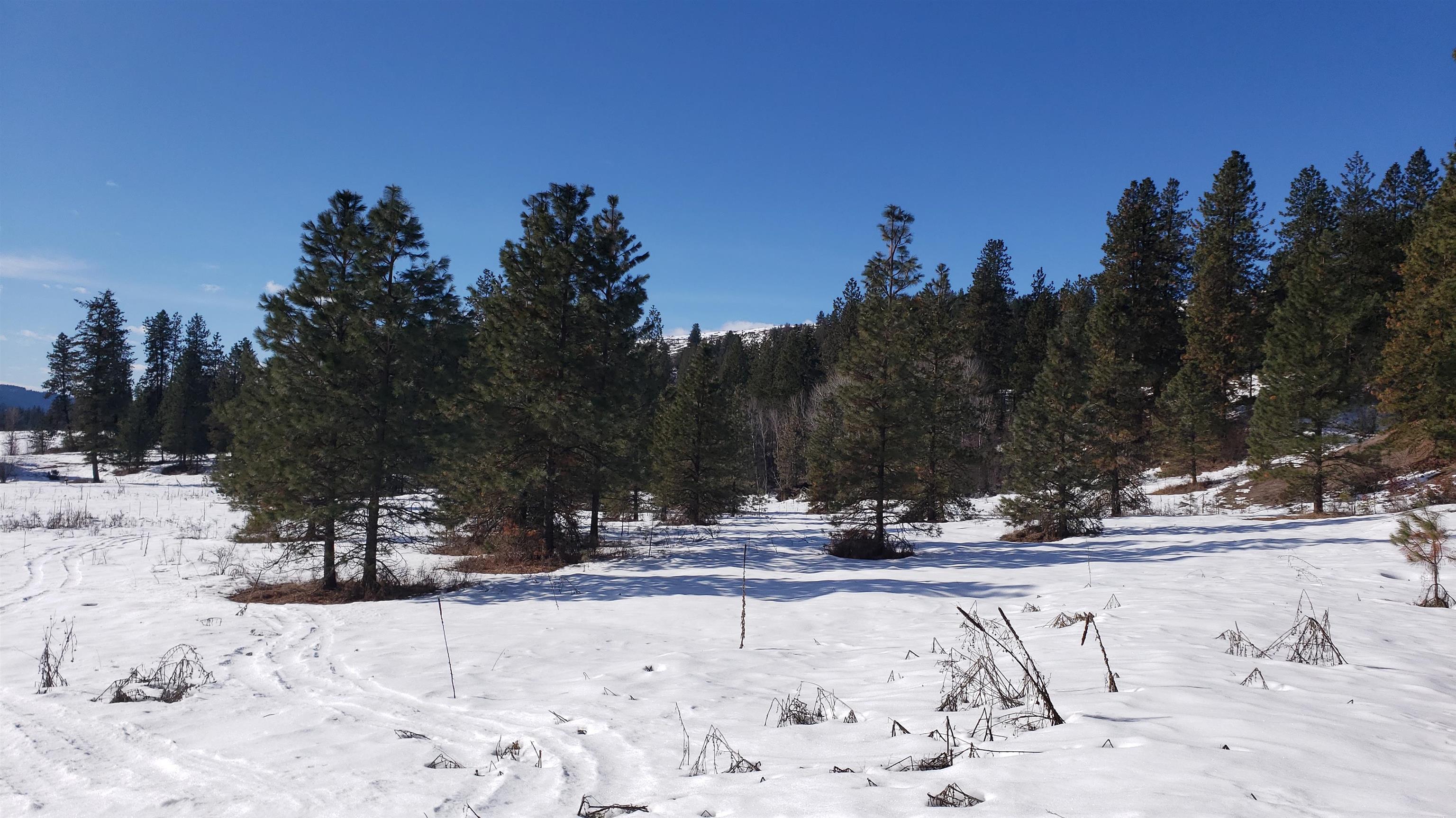 Photo 1 of 35 of 1684 H Brooks Rd land