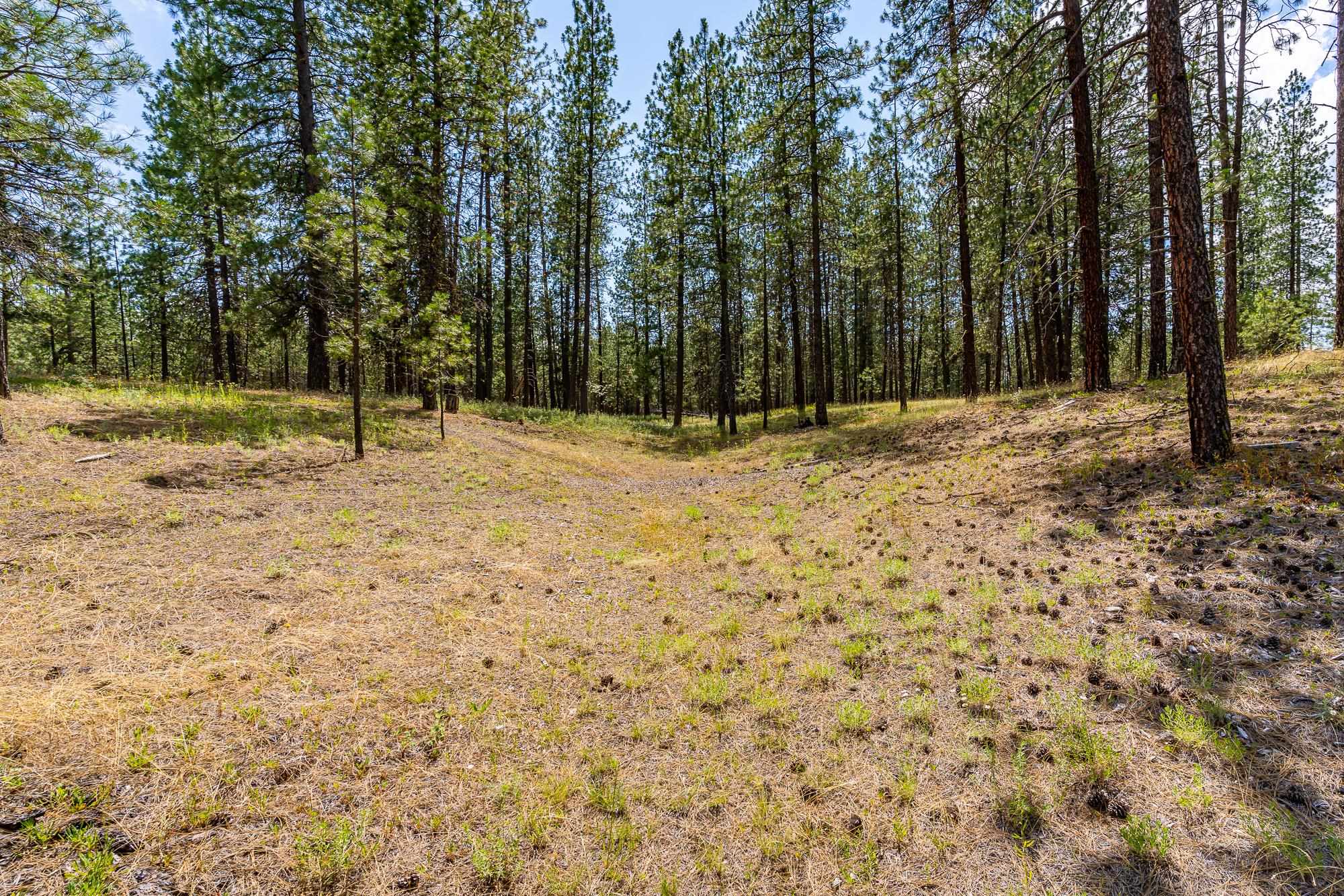 Photo 6 of 21 of 65xx Whispering Pines Way land