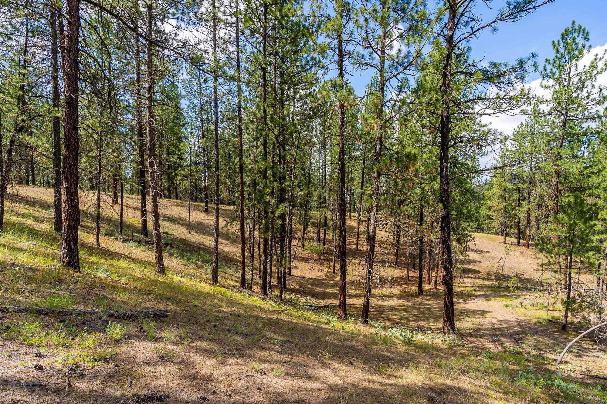 Photo 8 of 21 of 65xx Whispering Pines Way land