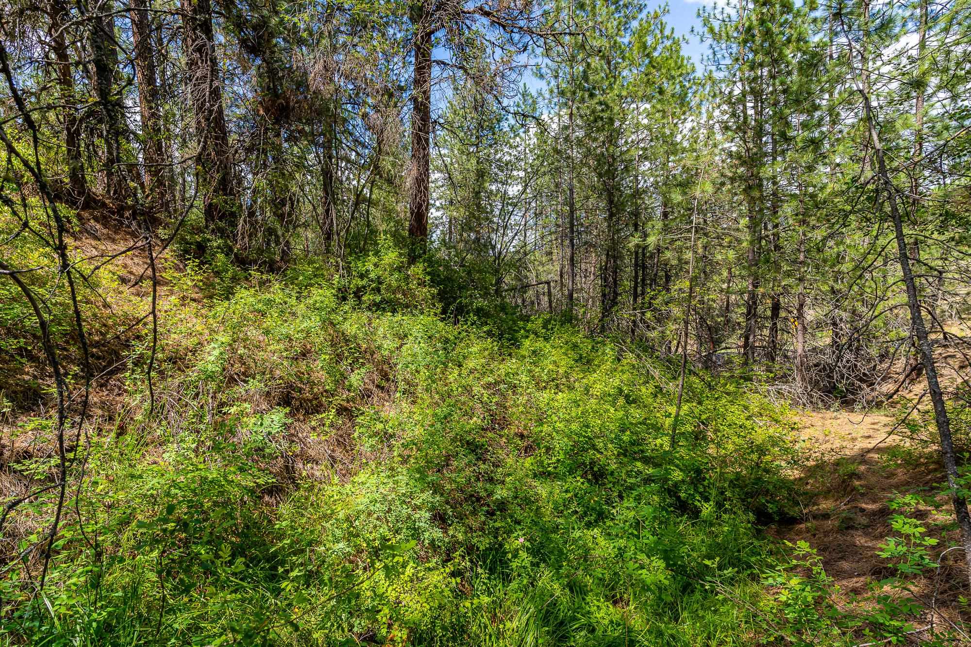 Photo 7 of 21 of 65xx Whispering Pines Way land