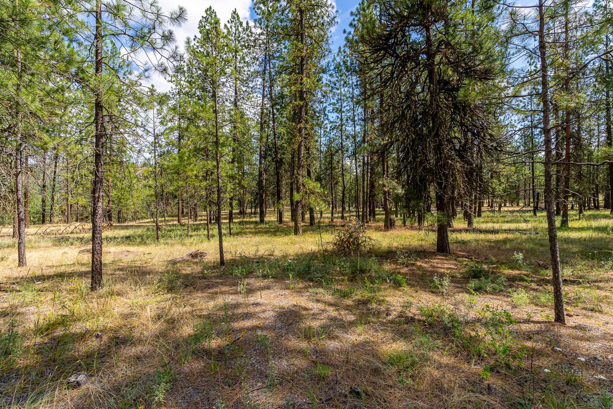 Photo 5 of 21 of 65xx Whispering Pines Way land