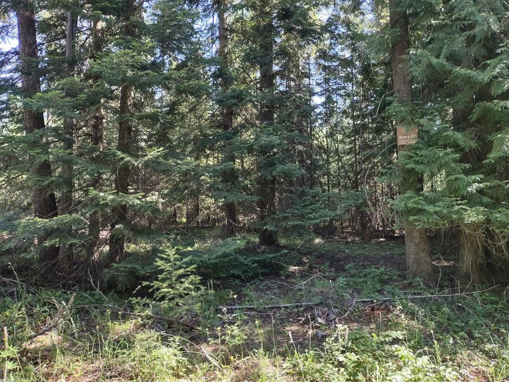 Photo of XX Williamson Rd, Clayton, WA 99110 (MLS # 202619979)