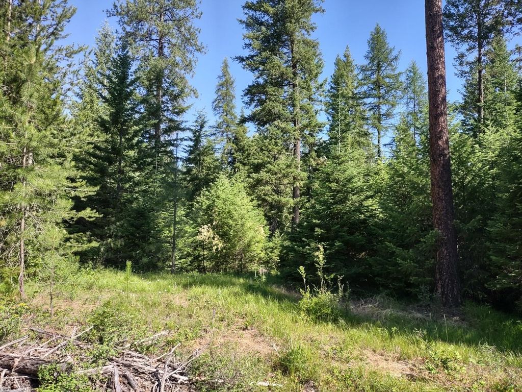 Photo of XX Williamson Rd, Clayton, WA 99110 (MLS # 202619979)