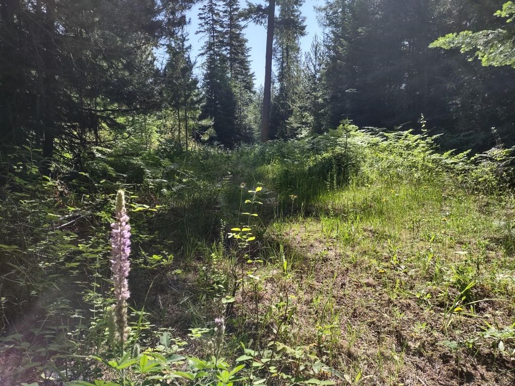 Photo of XX Williamson Rd, Clayton, WA 99110 (MLS # 202619979)