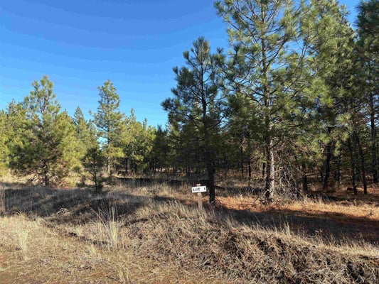 35525 PRAIRIE LN N, CRESTON, WA 99117 - Image 6d0ca857fbdbec2f52efa4835dc8b90f/3917805288