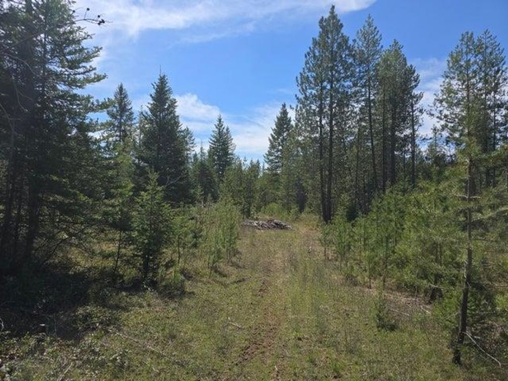 Photo of XXX W Oregon Rd, Deer Park, WA 99006 (MLS # 202516381)