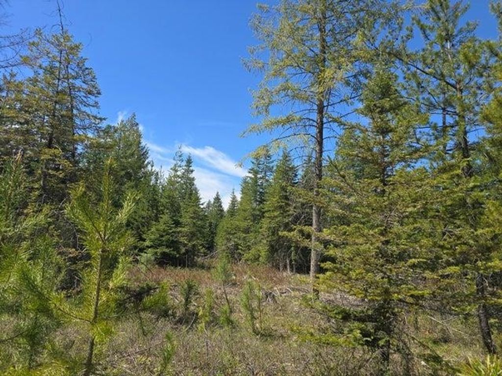 Photo of XXX W Oregon Rd, Deer Park, WA 99006 (MLS # 202516381)