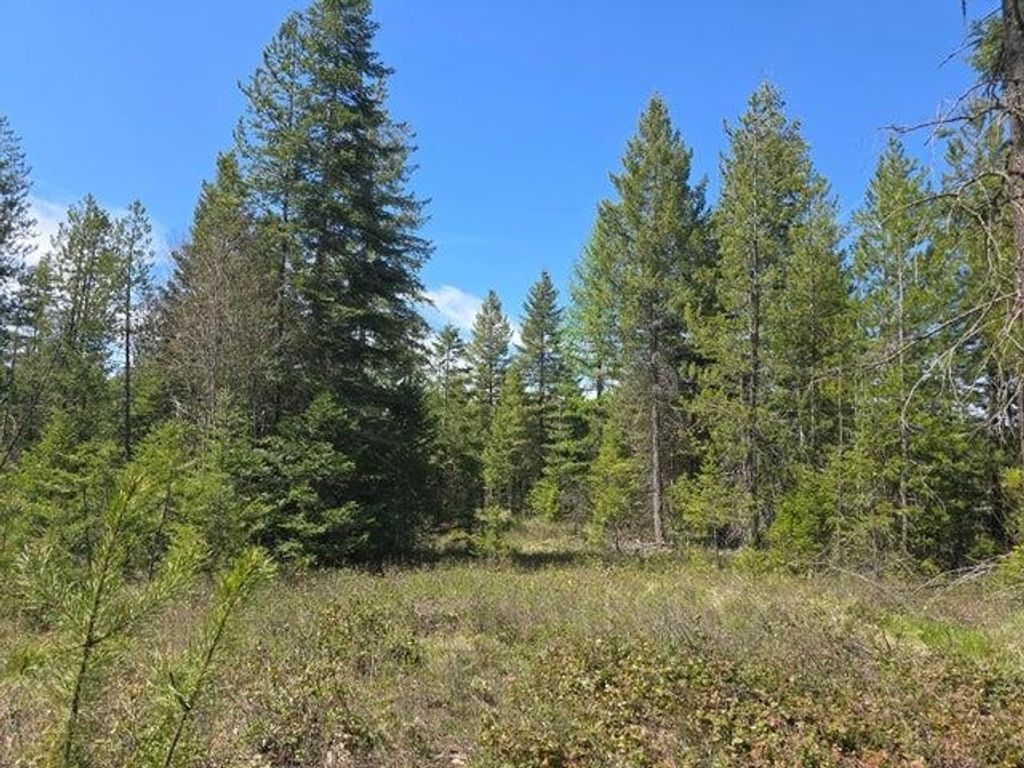 Photo of XXX W Oregon Rd, Deer Park, WA 99006 (MLS # 202516381)