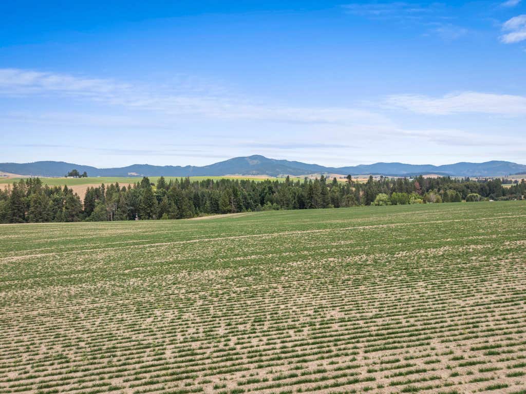 Photo of XXXX E Toll Rd, Rockford, WA 99030 (MLS # 202621236)