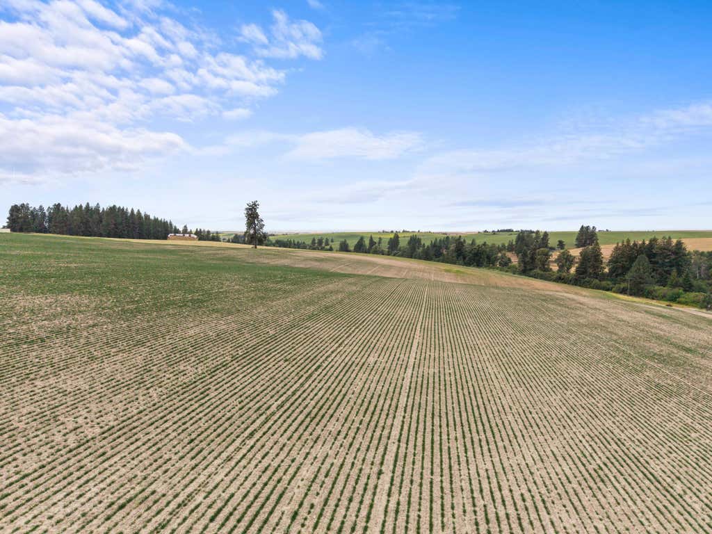 Photo of XXXX E Toll Rd, Rockford, WA 99030 (MLS # 202621236)