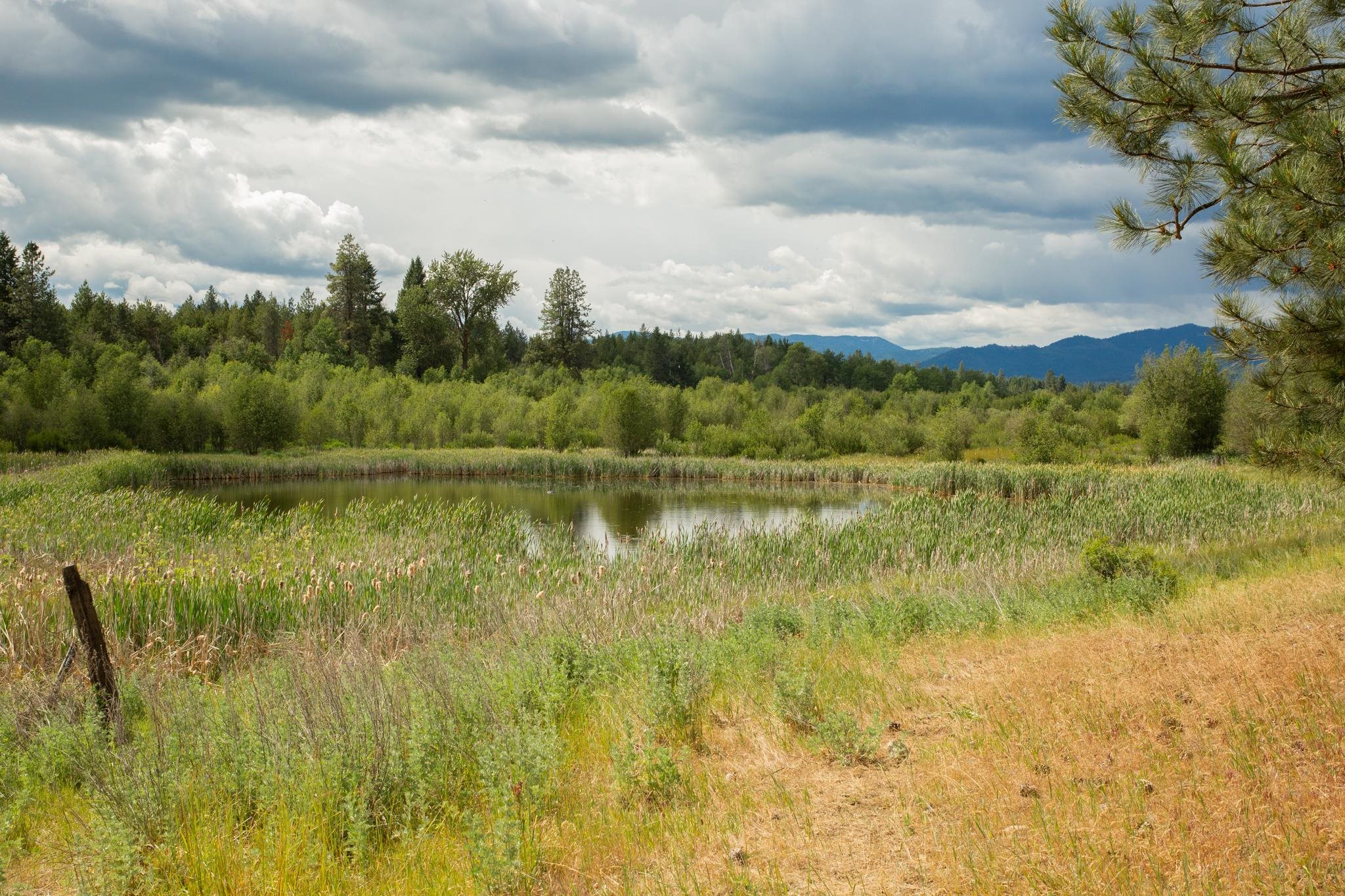Photo 1 of 24 — 4110 Cemetery Tract AB Rd, Springdale, WA 99137